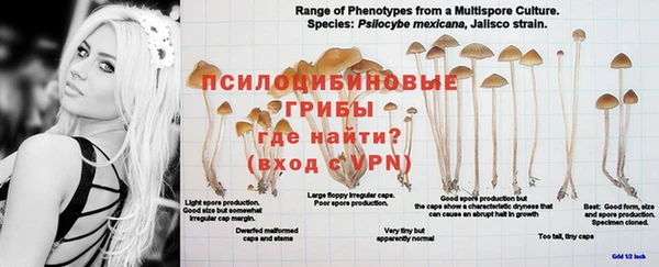 прущая мука Бородино