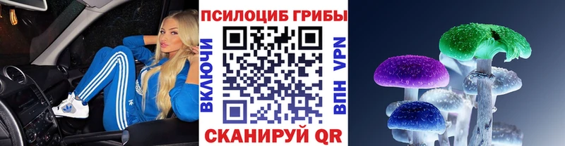 Галлюциногенные грибы Cubensis  Тарко-Сале 